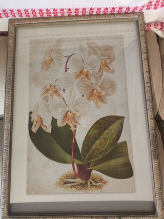 Cuadro Orquídeas 50x70 cm con Cristal