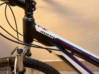 Bicicleta niña Musa Coluer