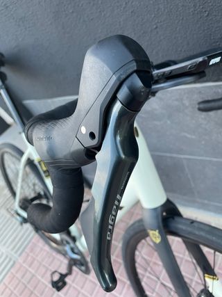 Bicicleta Trek Domane AL Talla 58