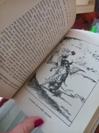 Vida y novela de un matador de toros, El Papa negr