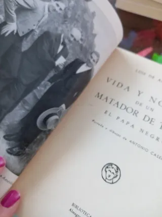 Vida y novela de un matador de toros, El Papa negr