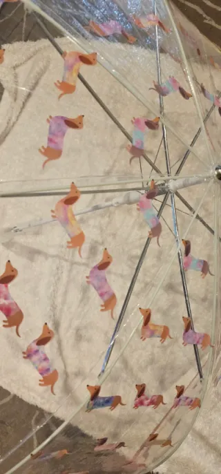 Paraguas transparente teckel