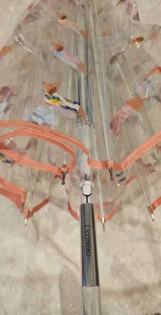 Paraguas transparente teckel