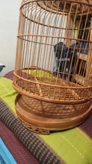 Jaula para canarios hecha de bambú.