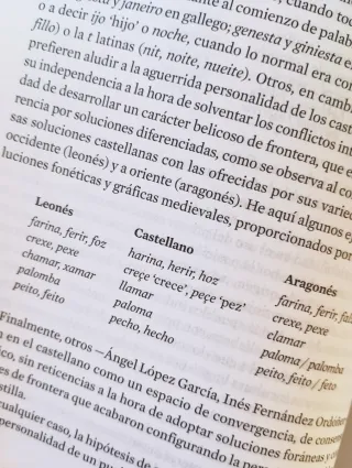 La maravillosa historia del español