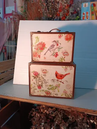 Set de 2 maletas vintage