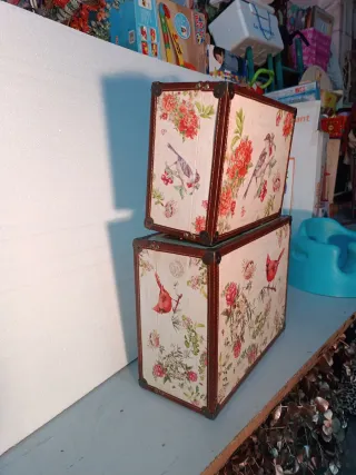 Set de 2 maletas vintage