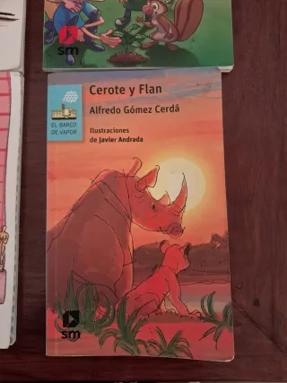 Lote libros lectura infantiles