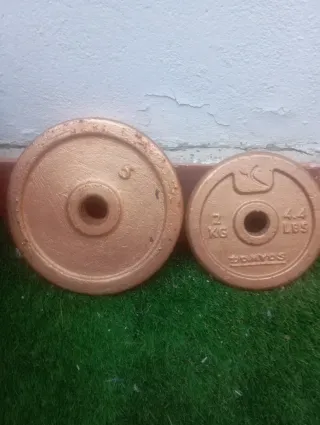 Pesas 2kg, 5kg, 10kg + Barra