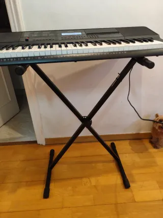 Teclado Casio CT-X700 con soporte