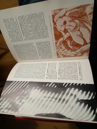 El saber en amor y la técnica sexual