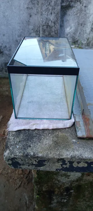 Acuario de cristal con marco negro