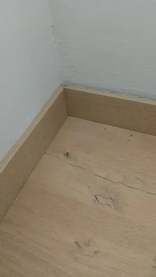 Parquetista oficial Pintura  Puertas