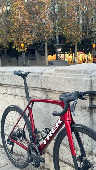 Trek Madone SL7 Talla L