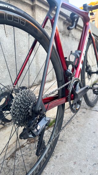 Trek Madone SL7 Talla L