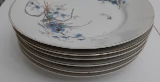 6 Piatti Antichi in Porcellana con Fiori Blu