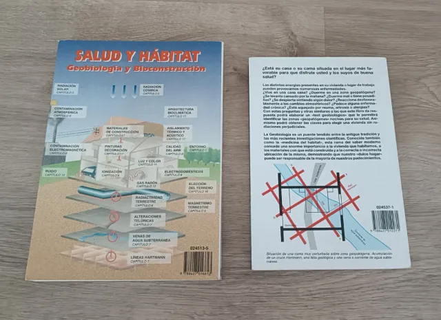 EL GRAN LIBRO DE LA CASA SANA + VIVIR EN LA C SANA