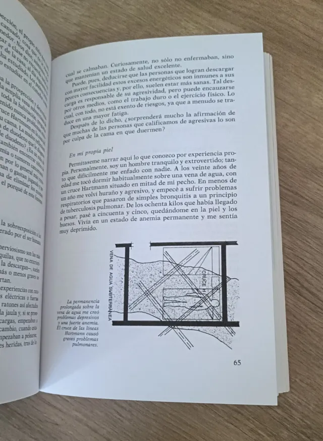 EL GRAN LIBRO DE LA CASA SANA + VIVIR EN LA C SANA