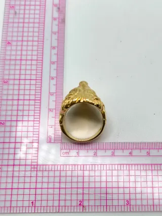 Anillo Caballero Cabeza León tallada Oro 18kt