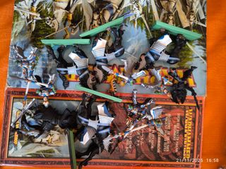 Warhammer High Elf Silver Regiment