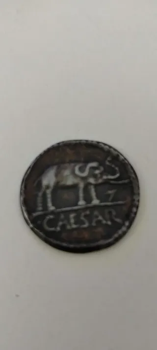 Moneta antica con elefante e iscrizione CAESAR