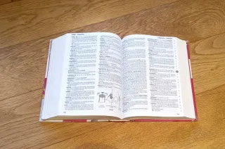 NUEVO DICCIONARIO ESCOLAR DE LA LENGUA ESPAÑOLA...