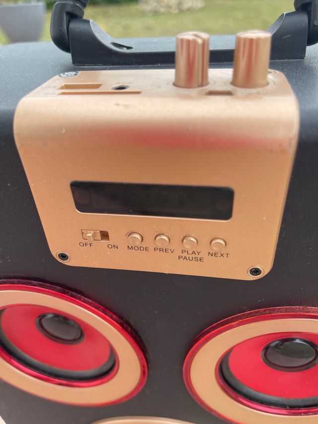 Altavoz Portátil Negro y Dorado