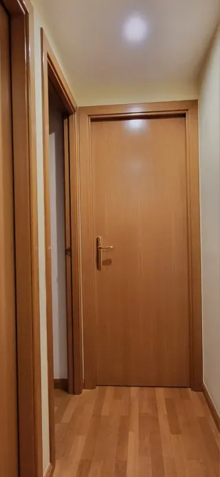 Puerta interior con maneta, bisagras, tapetas.....