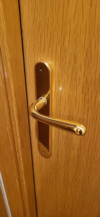 Puerta interior con maneta, bisagras, tapetas.....