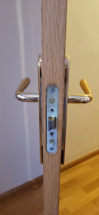 Puerta interior con maneta, bisagras, tapetas.....