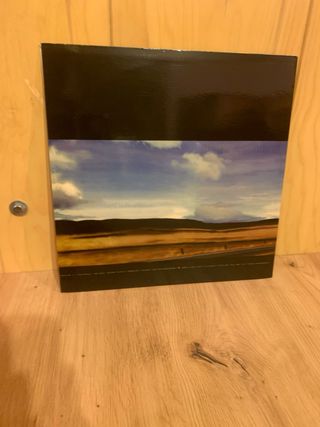 Pearl Jam Vinilo Blanco