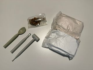 Gioco Scavo Dinosauri