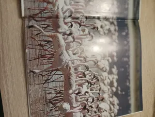 ALBUM DE ANIMALES COSAS DE NIÑOS