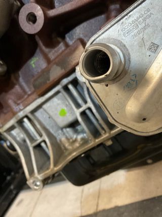 Motor Ford Transit 2.0 Ecoblue 170cv (BLFB)