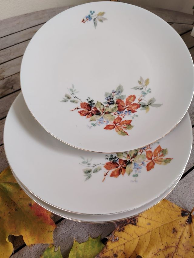 Servizio piatti porcellana 6 persone