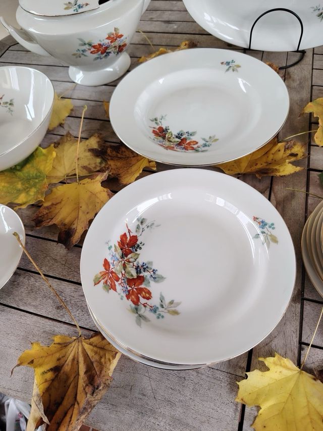 Servizio piatti porcellana 6 persone