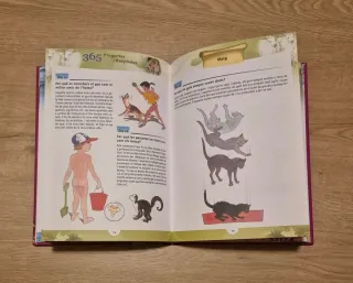 365 Preguntes i respostes (365...) (Catalan Edi...