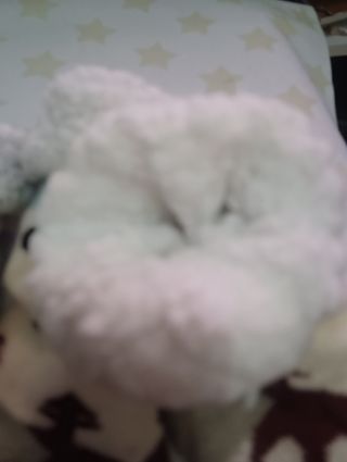 Calcetines borreguito 6-8 años