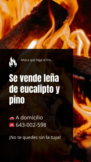 Leña de eucalipto y pino a domicilio