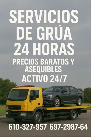 SERVICIO DE GRUA PRECIO ANTICRISIS