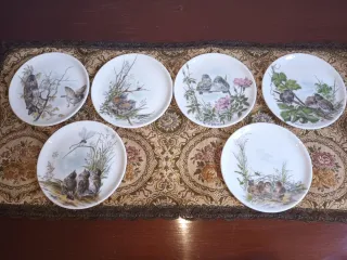 6 Posavasos Cerámica Pájaros