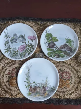 6 Posavasos Cerámica Pájaros