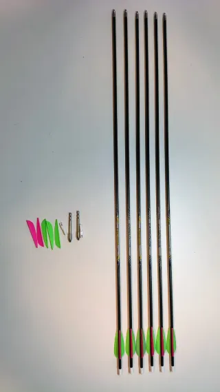 Flechas EASTON CARBON ONE 600