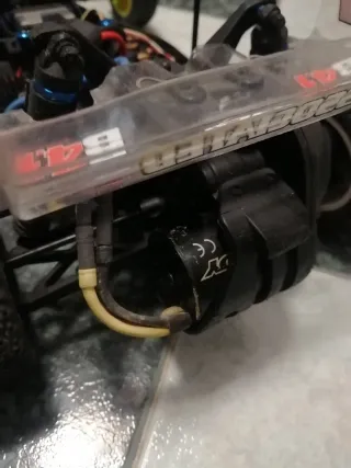 Coche RC Team Associated B4.1 F.t