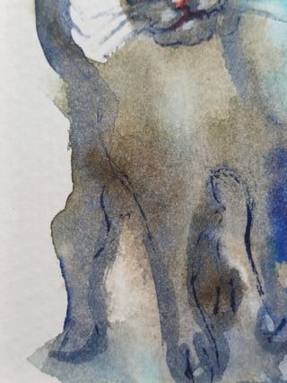 Gato Acuarela Original Arte Hecho a Mano
