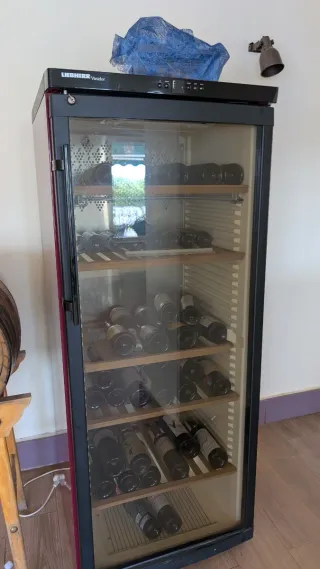 Equipamiento completo para celebraciones