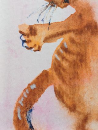 Gato Acuarela Original Arte 9x6cm