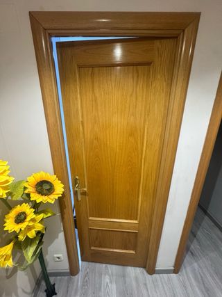 Puerta madera con cristal