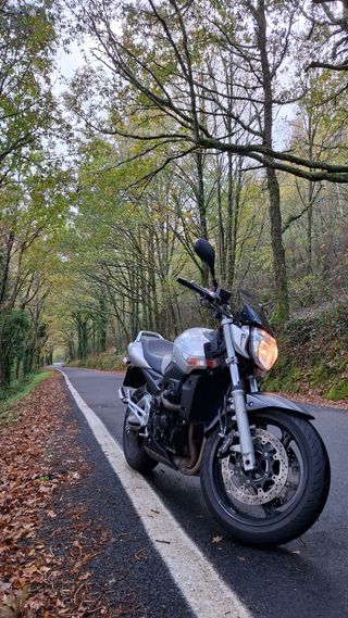 Despiece Suzuki GSR 600