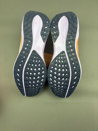 Nike Pegasus EasyOn EUR 42.5